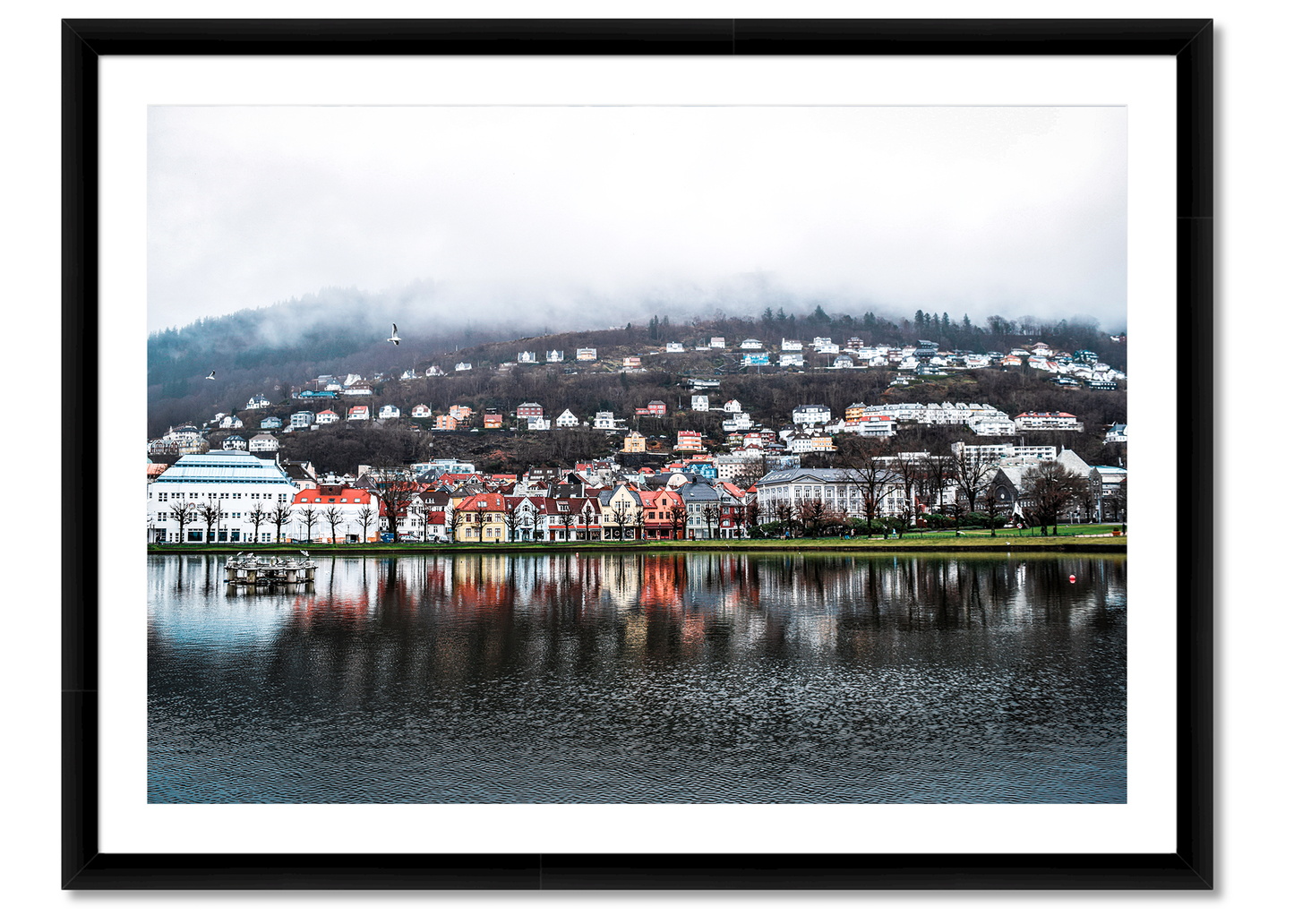 Bergen Reflection
