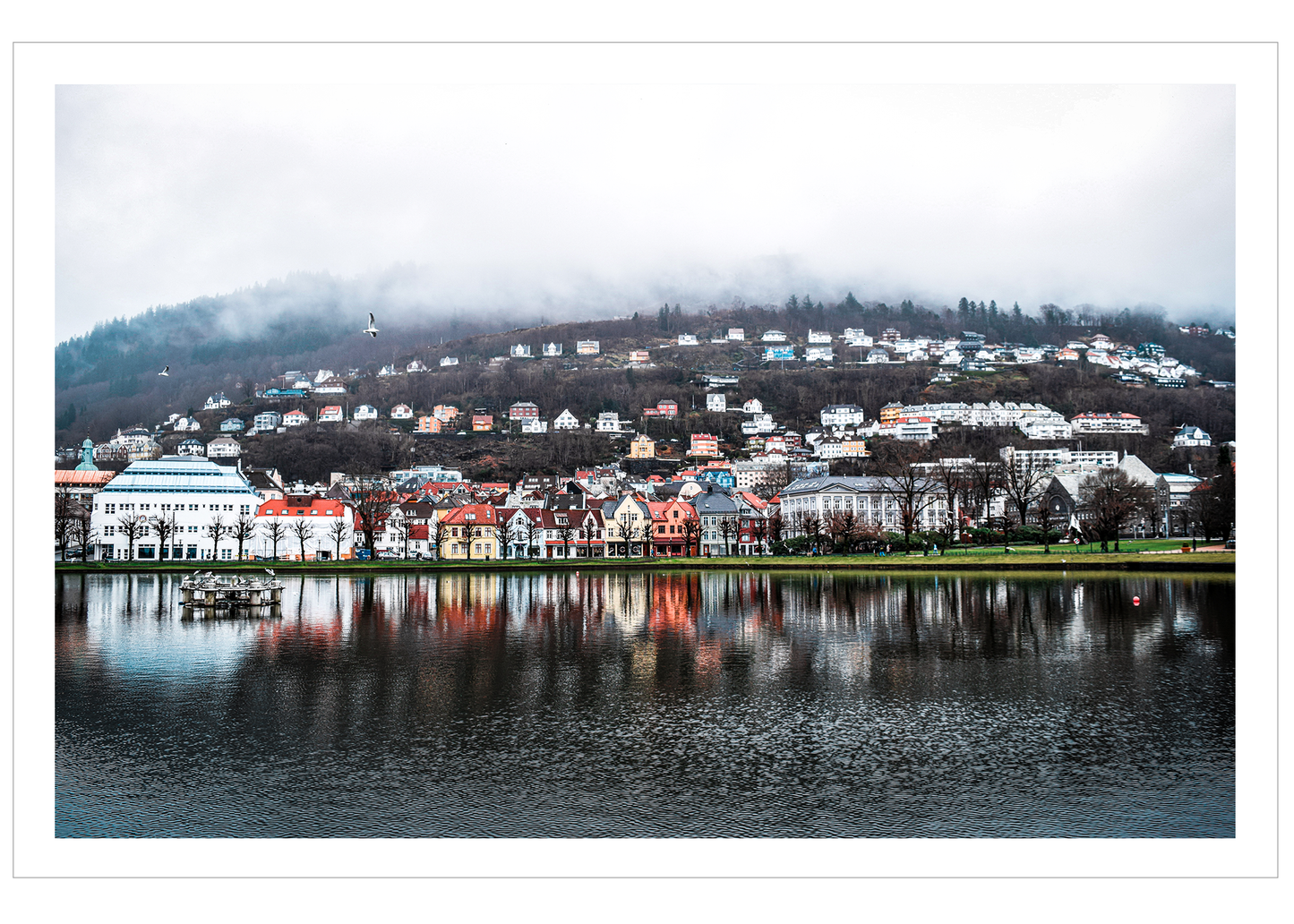 Bergen Reflection