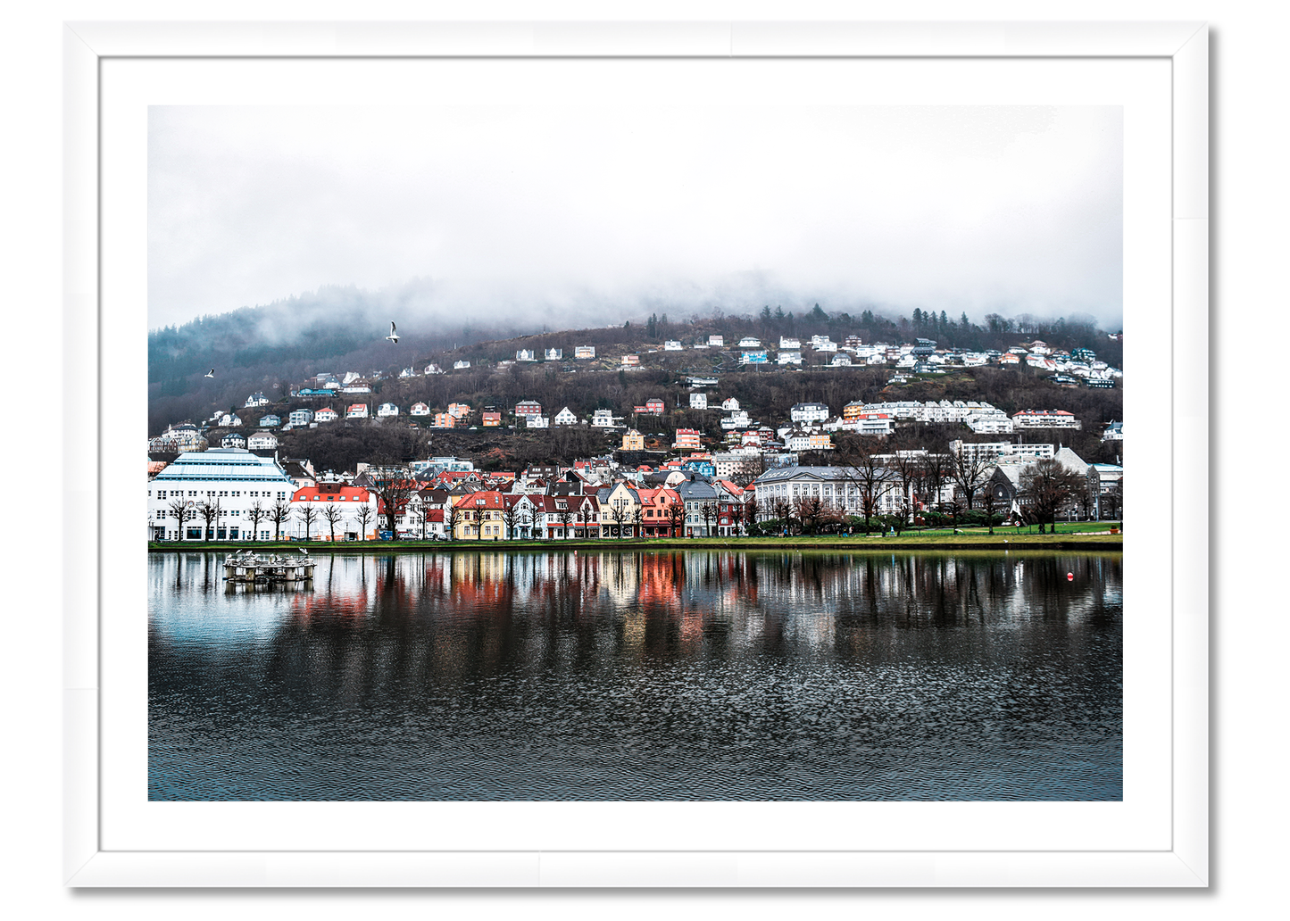 Bergen Reflection