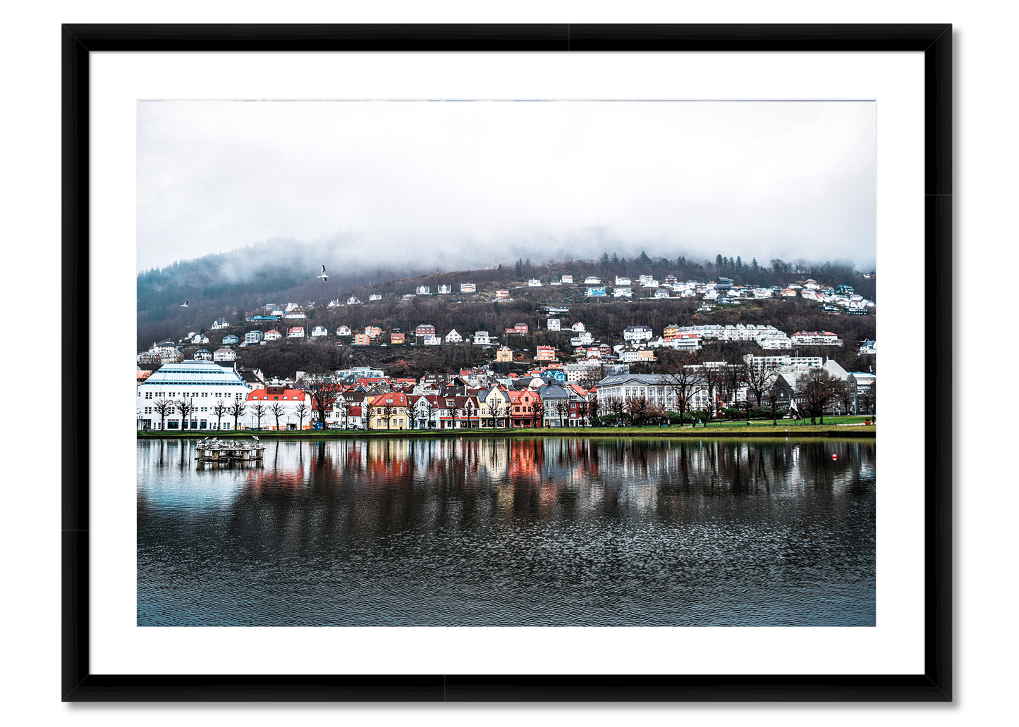 Bergen Reflection