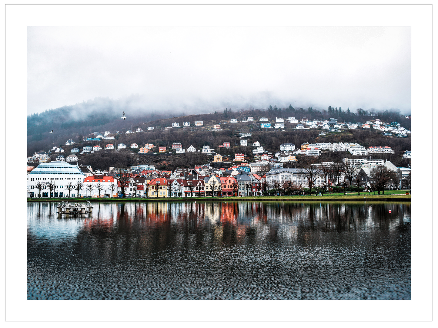 Bergen Reflection