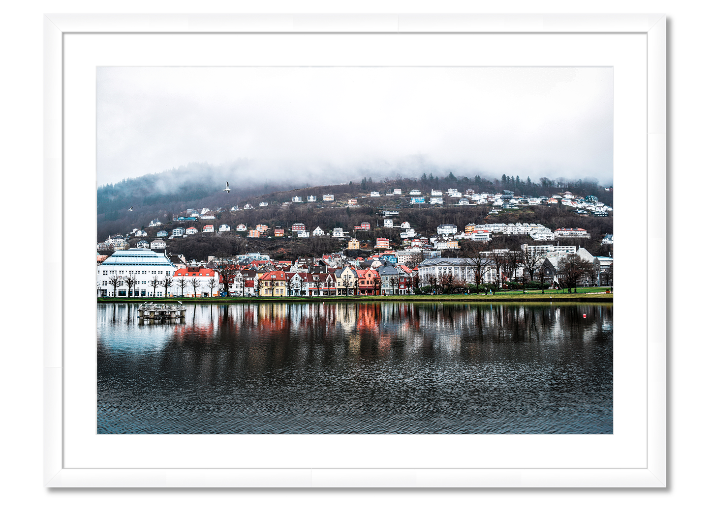 Bergen Reflection