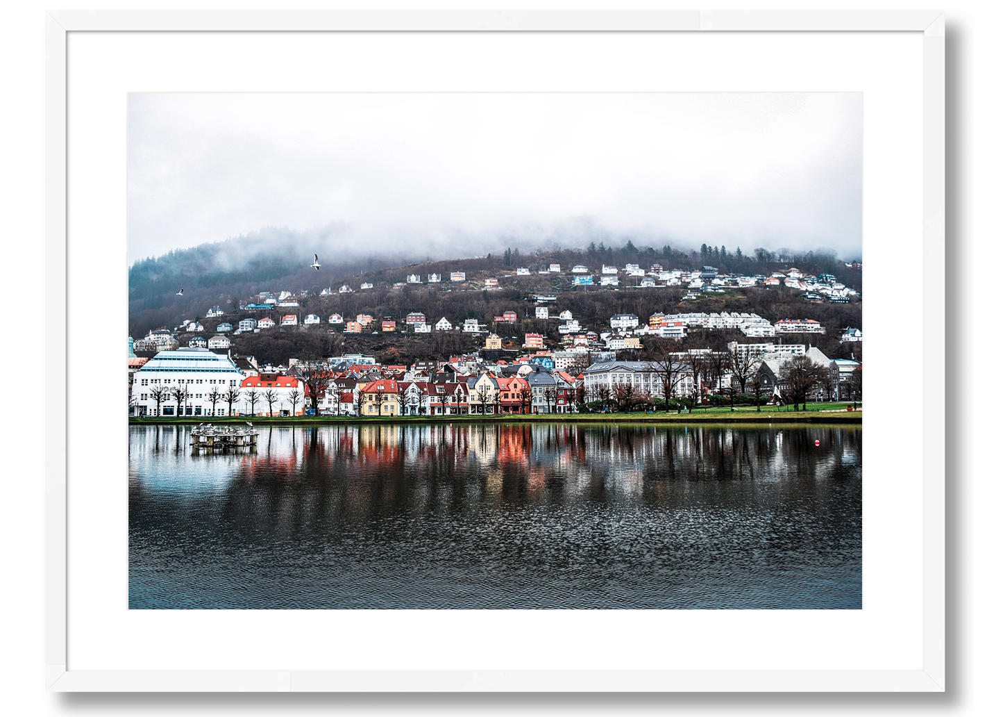 Bergen Reflection