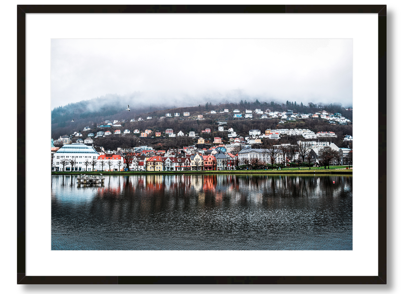Bergen Reflection
