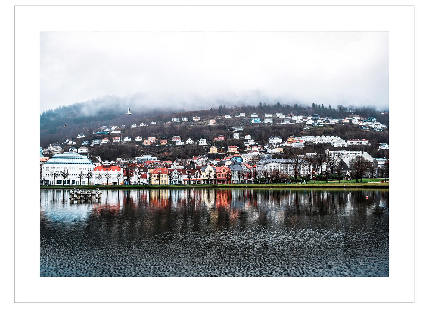 Bergen Reflection