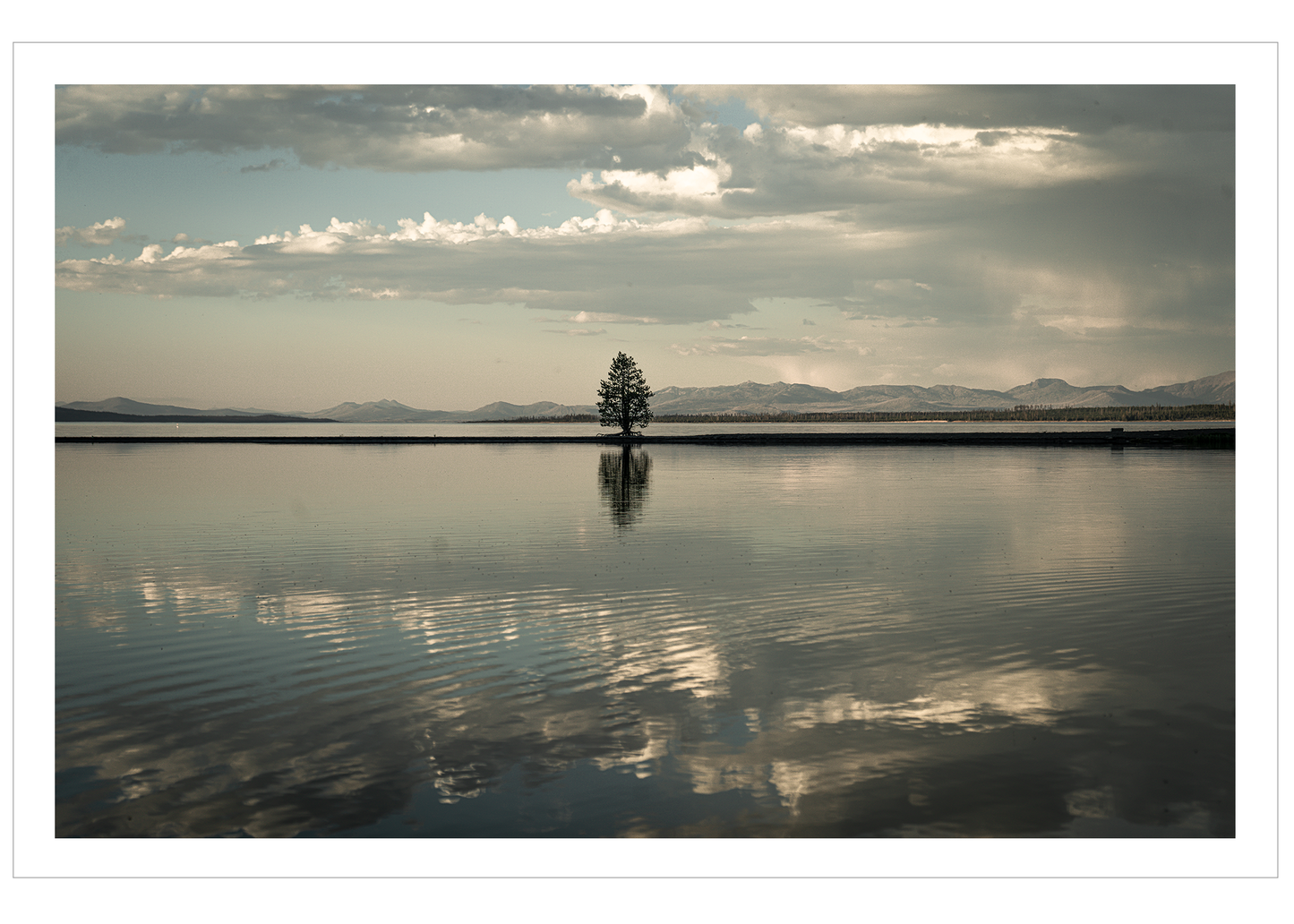 Montana