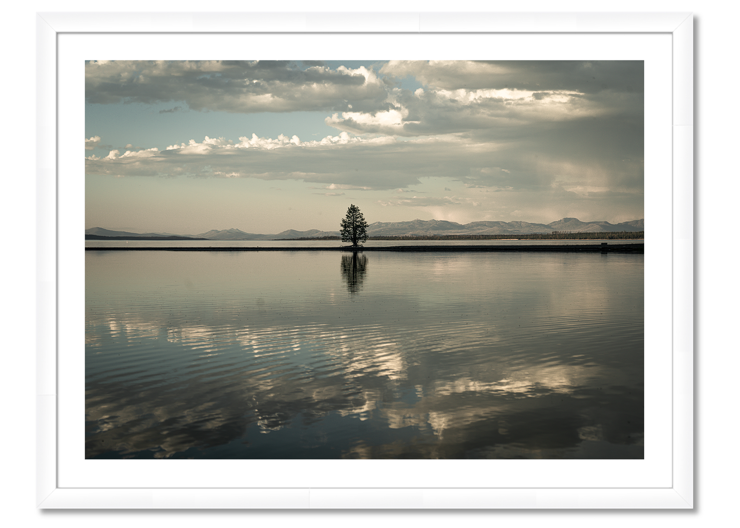 Montana