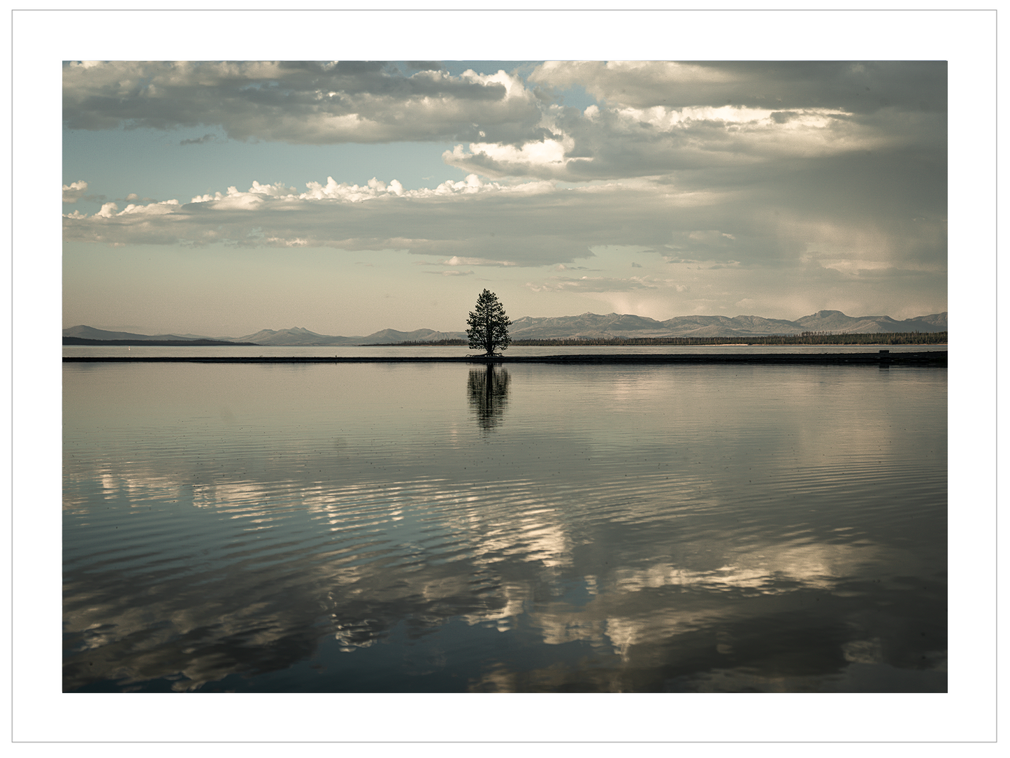Montana