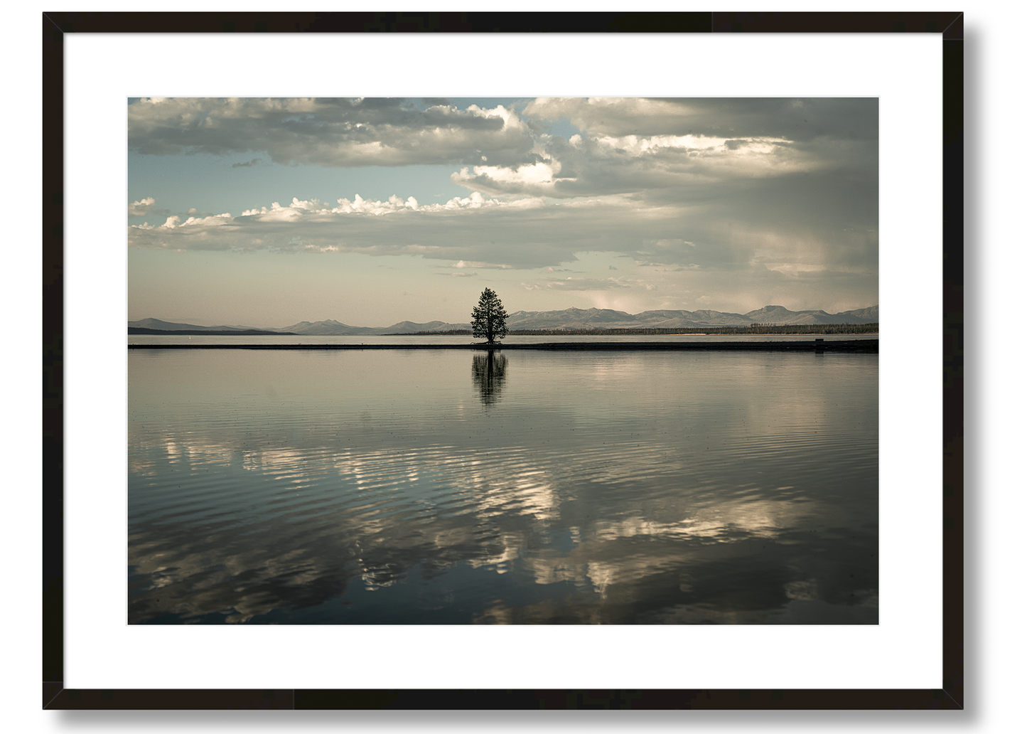 Montana