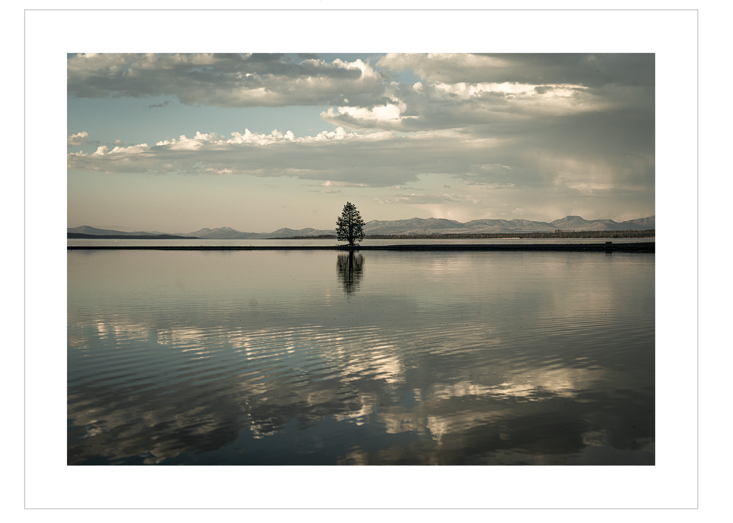 Montana
