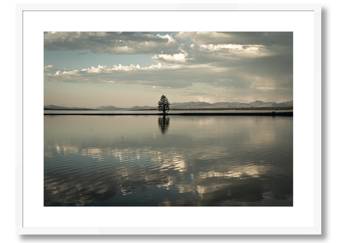 Montana