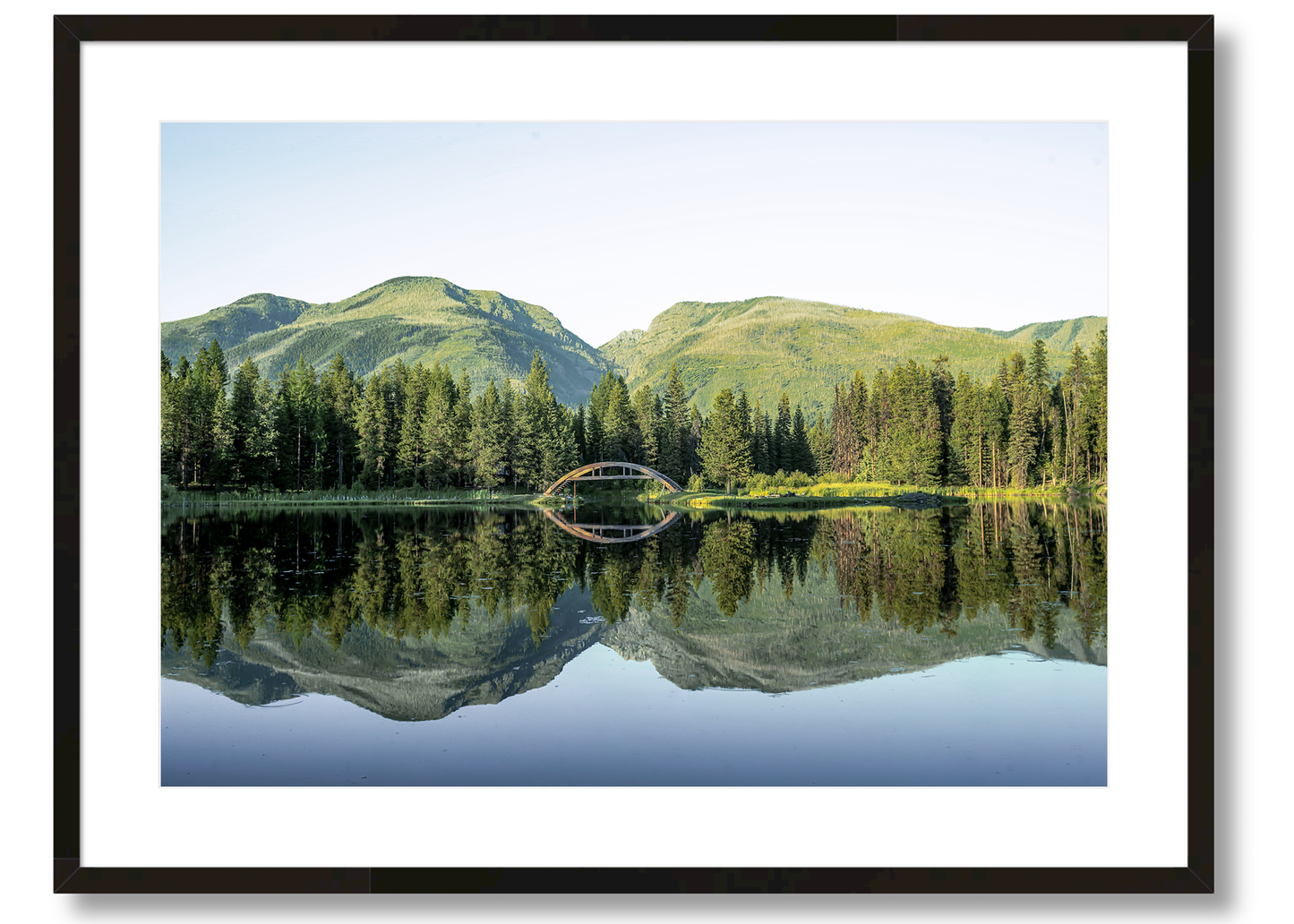 Montana's Reflection