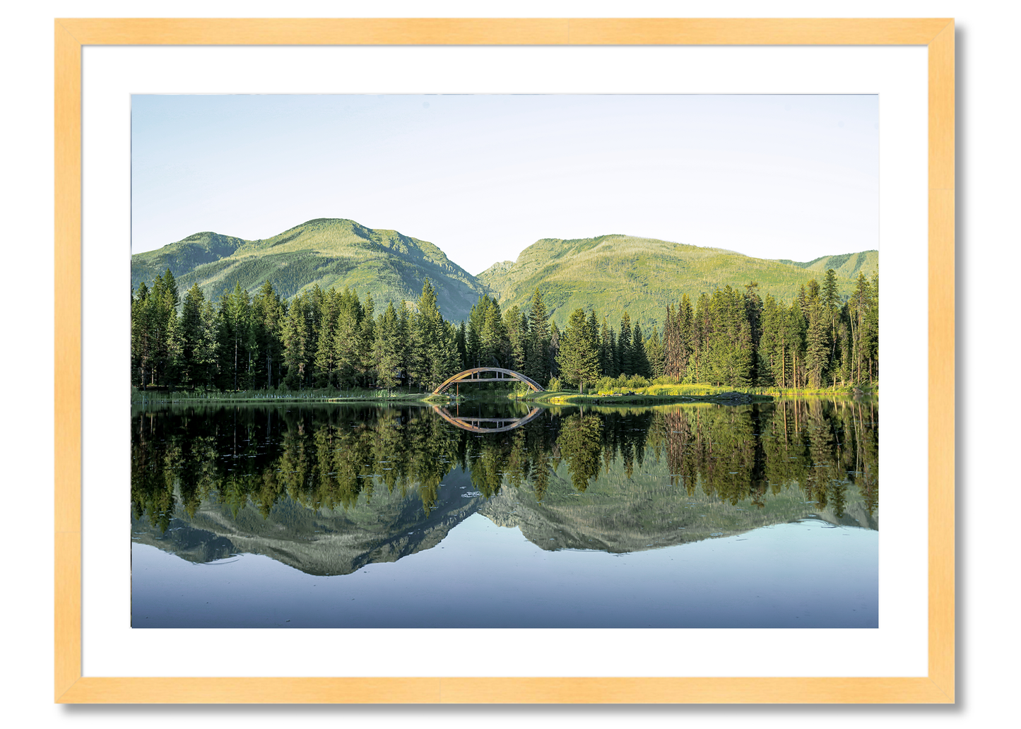 Montana's Reflection