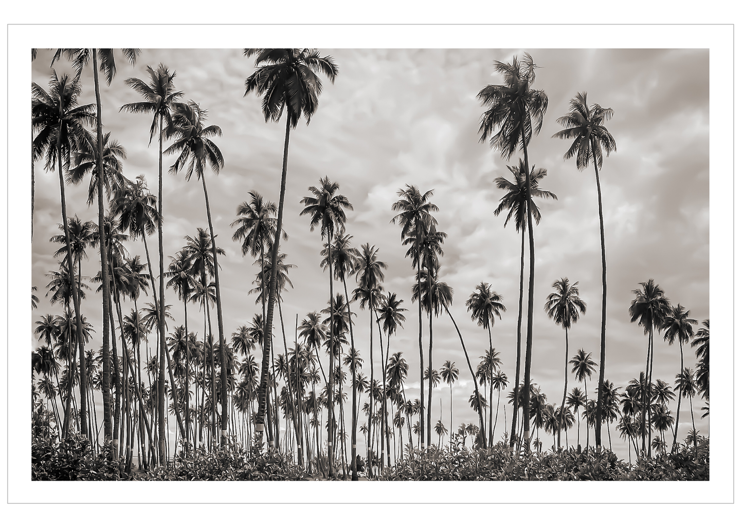 Tahiti