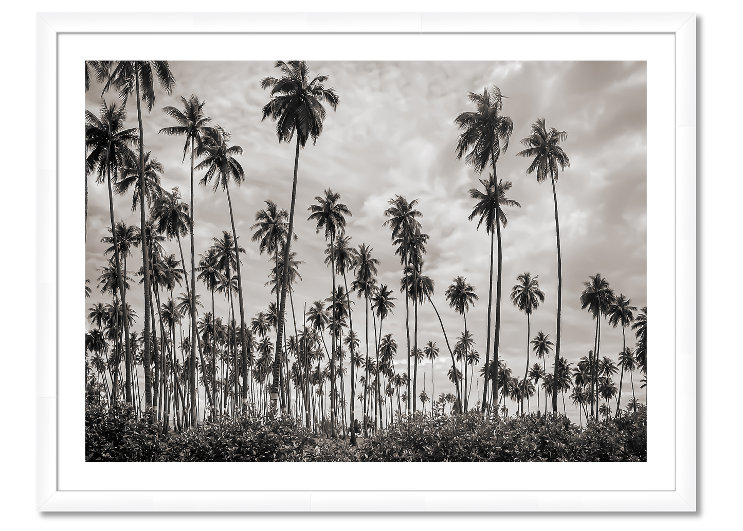 Tahiti