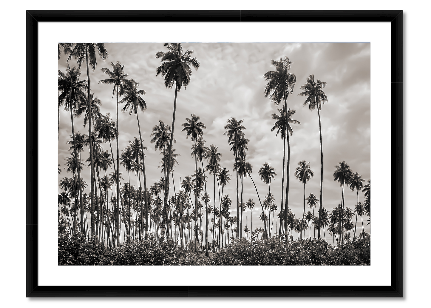 Tahiti