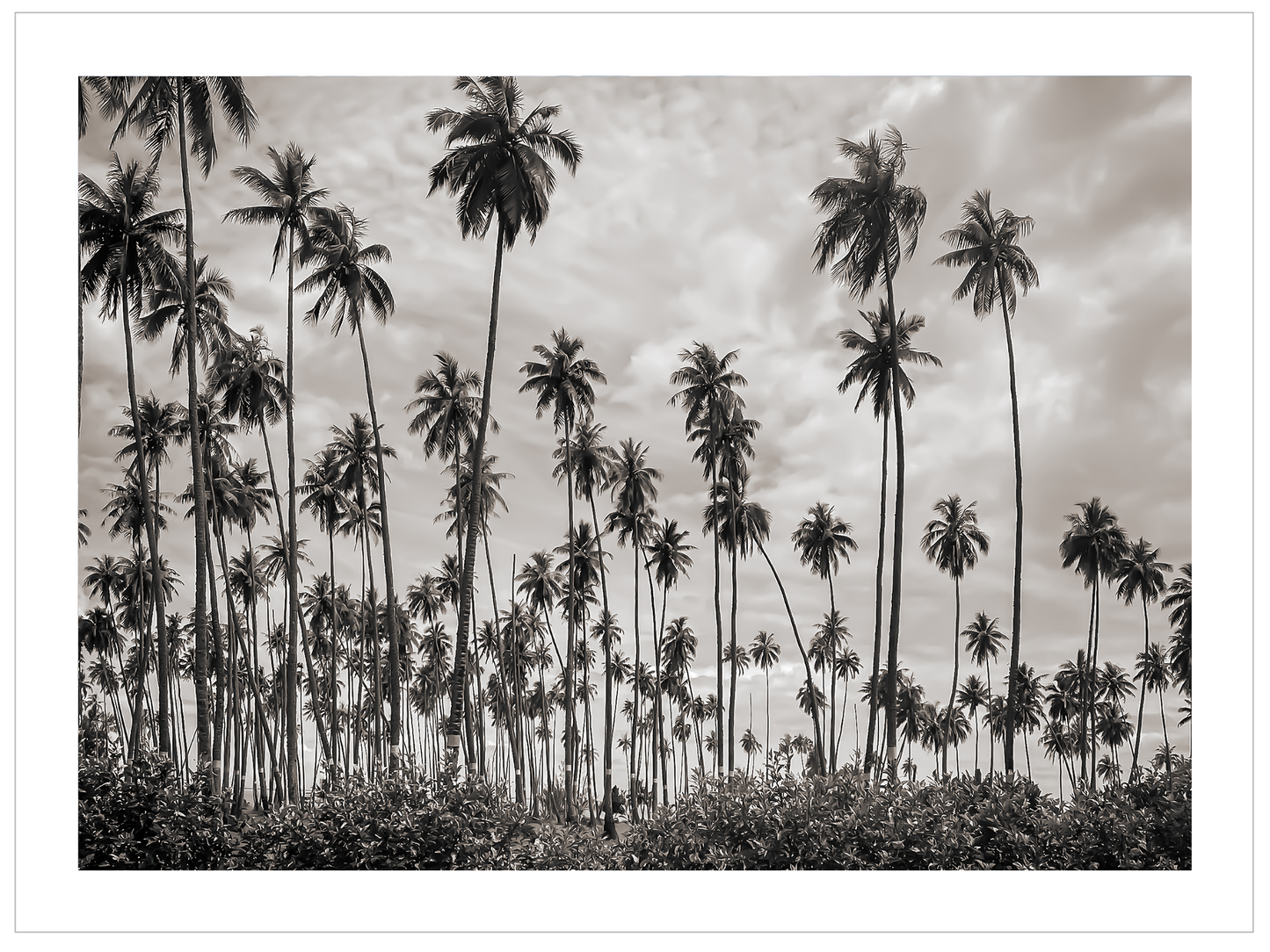 Tahiti