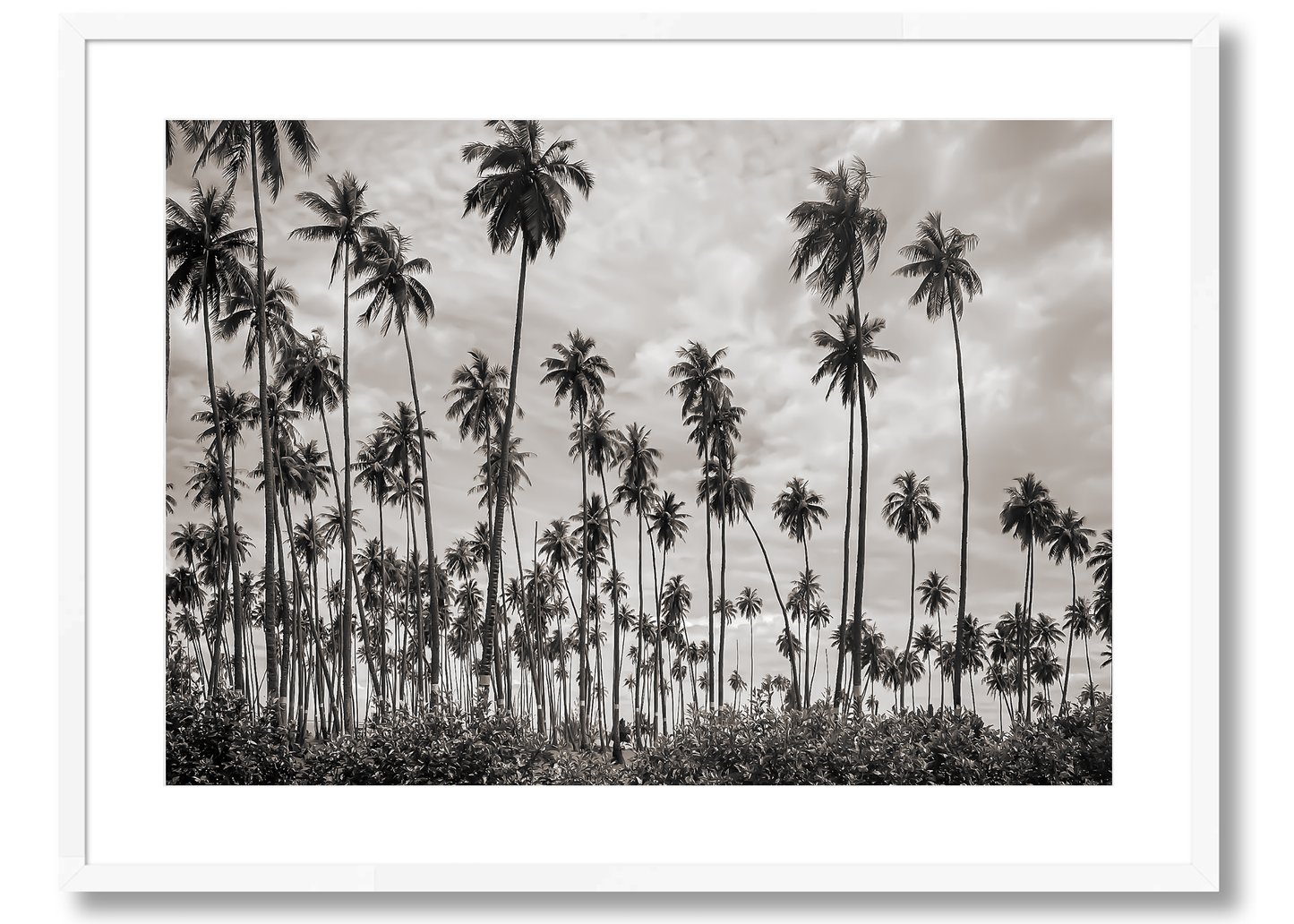 Tahiti