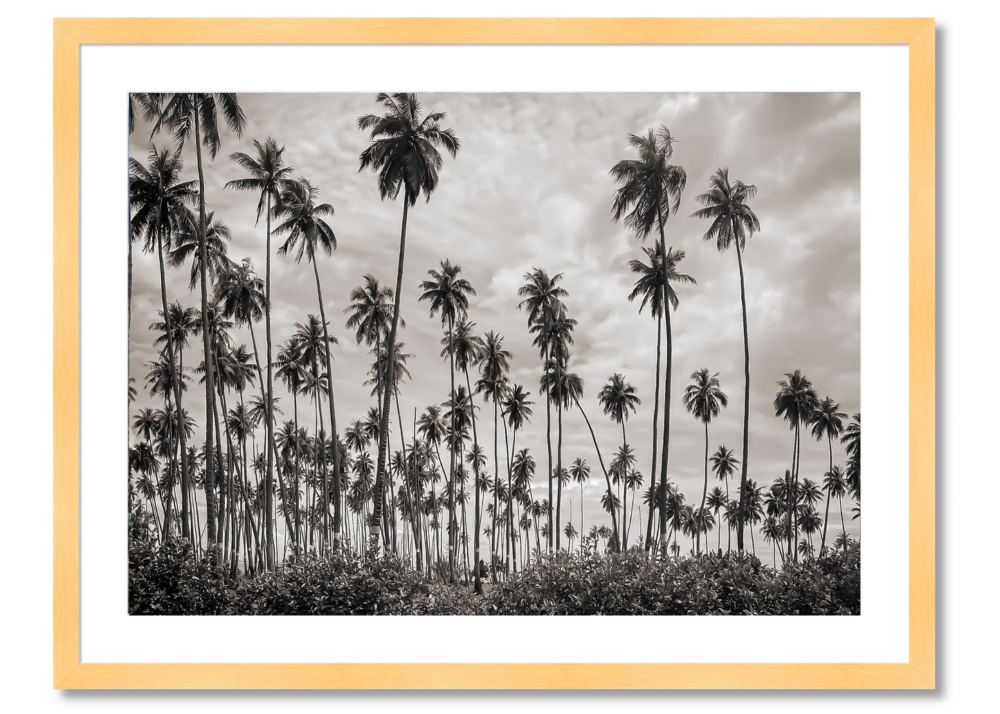 Tahiti