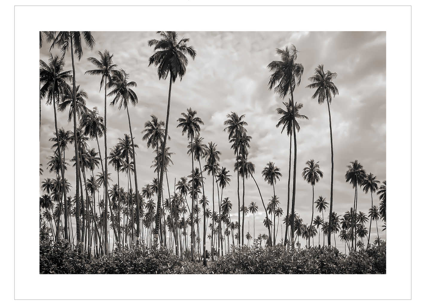 Tahiti