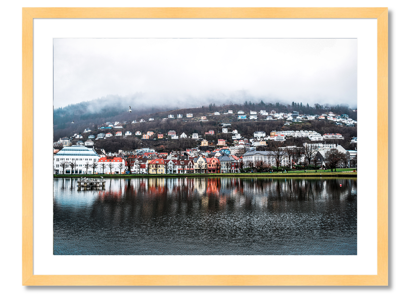 Bergen Reflection